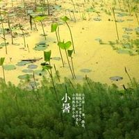 小暑